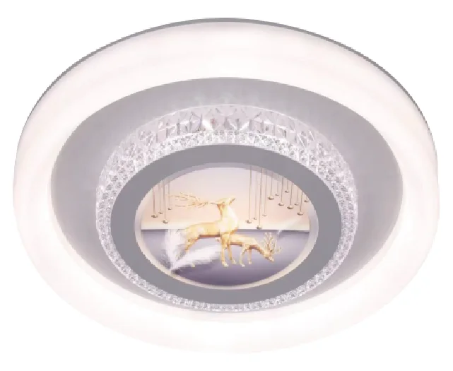 Decorative Ceiling Light CL-02 related DPLIGHT product