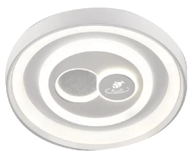 Decorative Ceiling Light CL-03 related DPLIGHT product