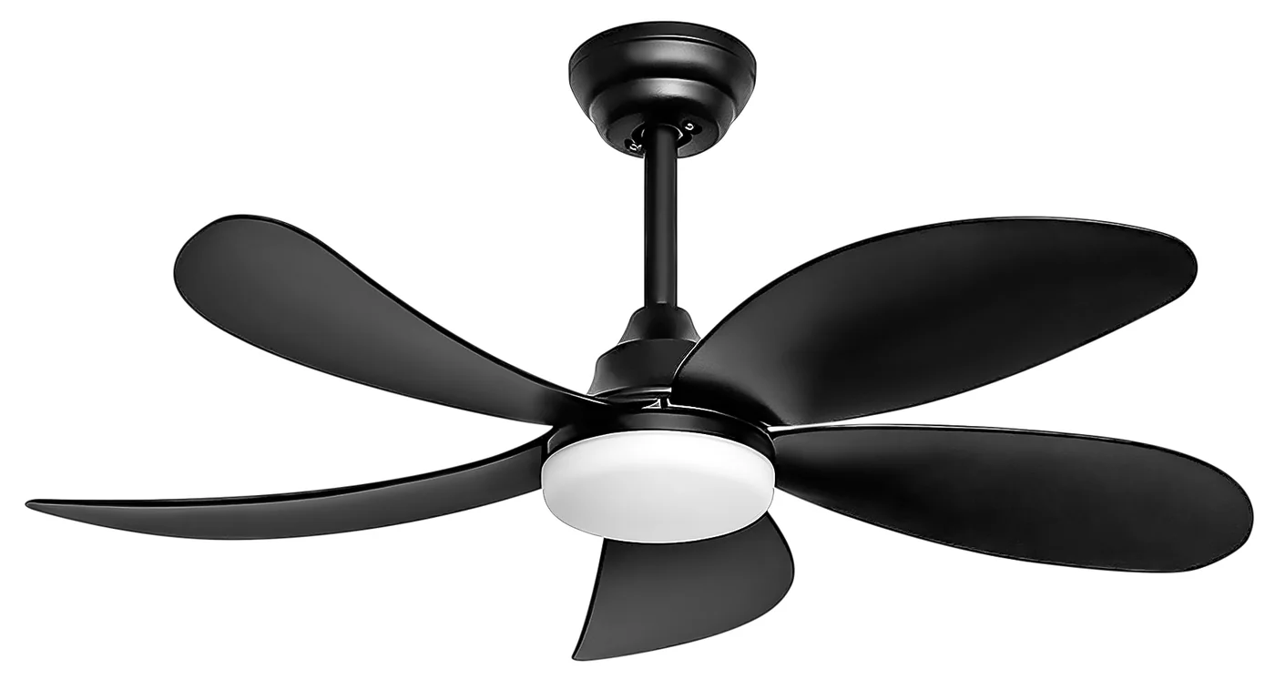 DP-2813 DPLIGHT Uganda product